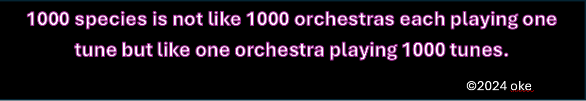 1000 tunes copy right1.png