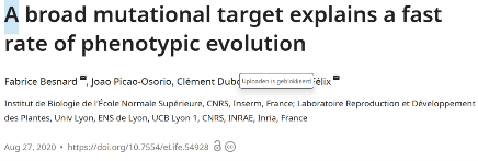 a broad mutational target artikel.png