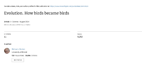 art how birds became birds.png