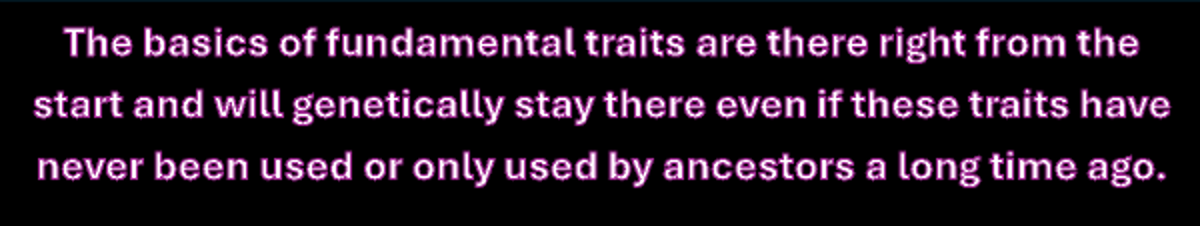 basic traits right from start zwart1.png