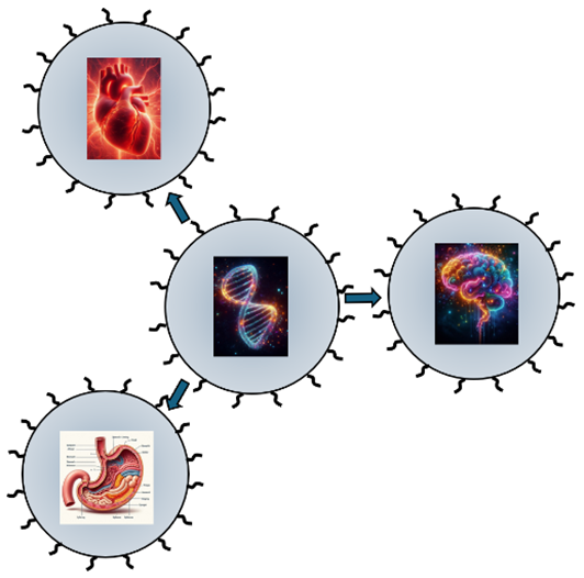 cell split embryo.png