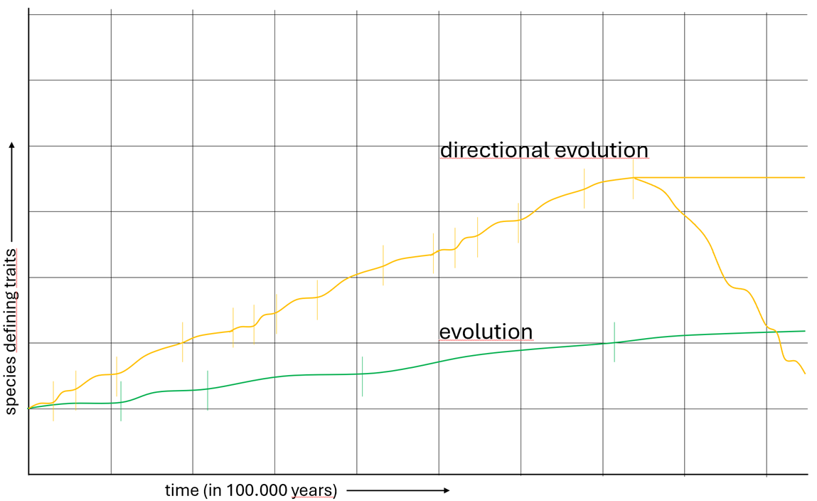 decline directional evolution diagram.png