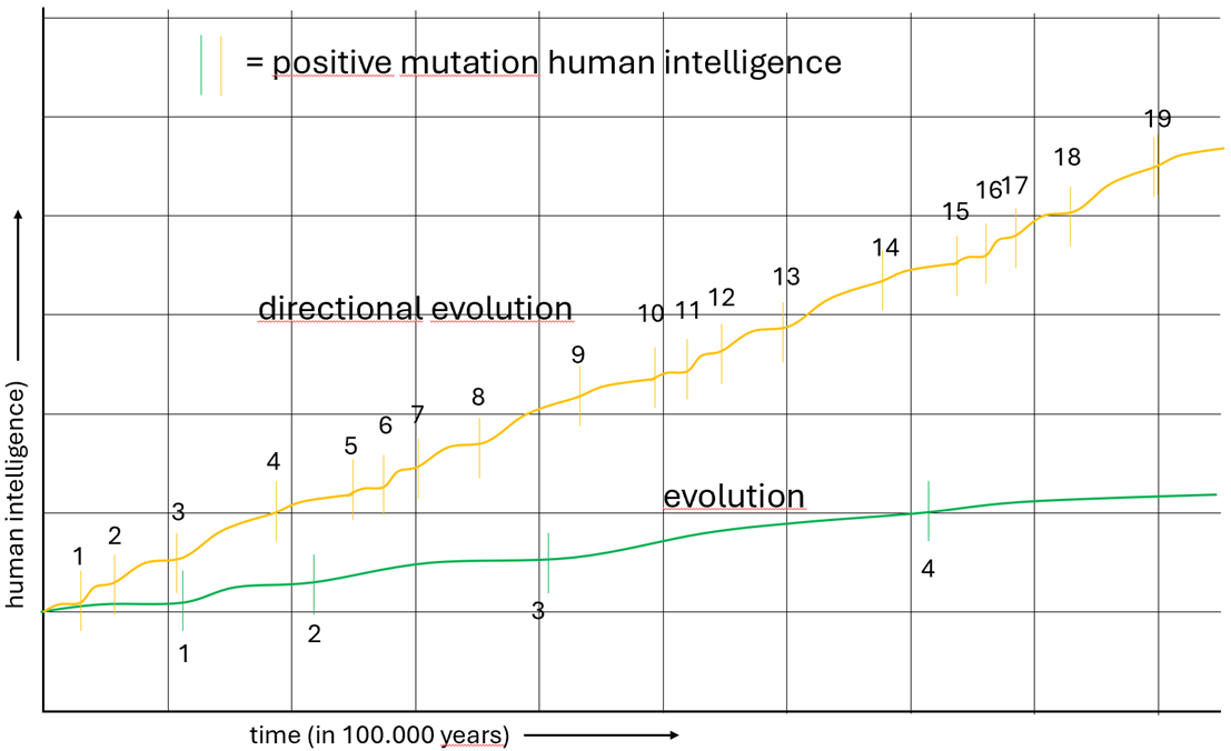 directional revolution met getallen.png