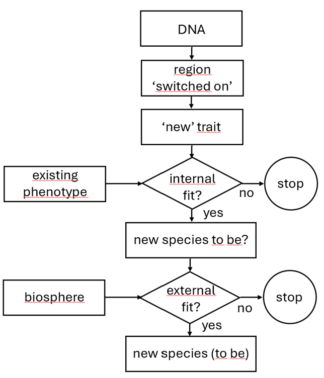 internal and external fit stroomschema.png