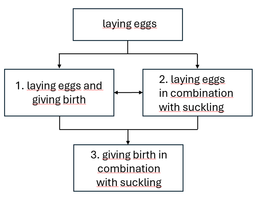 laying eggs.png