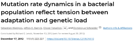 mutation rate dynamics artikel.png