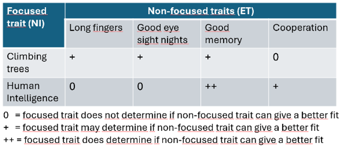 tabel focused en non-focused.png